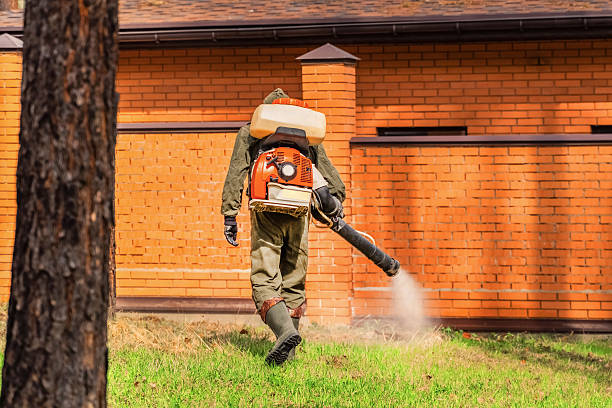 Bed Bug Clearance Verification and Documentation in Urbana